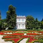 Palma Vikendica