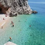 Palma Vikendica
